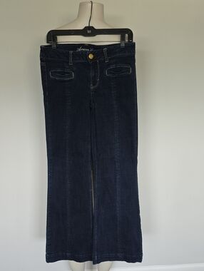 America Eagle AE Hipster jeans-8R